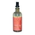 thumbnail image 1 of Bruma de aceite esencial Perfume Bath & Body Works, naranja y jengibre, 150 ml, 1 of 1