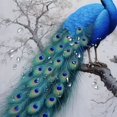 thumbnail image 5 of Chilfamy Peacock Pretty Shower Curtain Bathroom Decor Polyester Fiber Shower Curtain Set with Hooks 36x72, 5 of 7