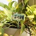 thumbnail image 3 of Plant Tag Léger Imperméable PP Jardinage Plant Tag pour la Maison, 3 of 7