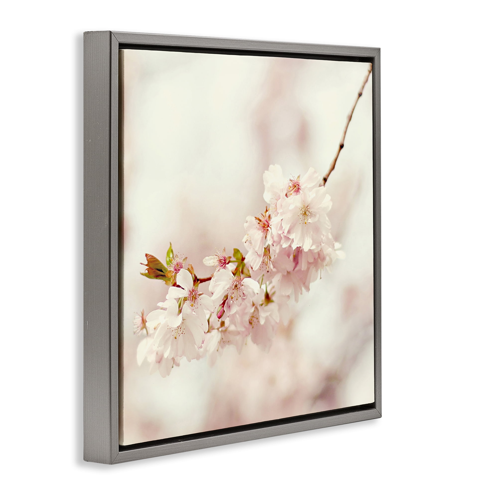 Stupell Industries Delicate Cherry Blossom Plants & Flowers Photography Gray Floater Framed Canvas Art Print Wall Art, 25 x 25