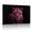 B, variant on XaaKee Neon Pink Regal Leopard Canvas Wall Art Prints Modern Big Cat Art Prints Inner Framed 18*12Inch
