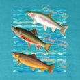 thumbnail image 2 of Wild Bobby, Classic Rainbow Brook Brown Trout Fish Trio, Fishing, Front and Back Garment-Dyed Short Sleeve Tees, Blue Lagoon, Small, 2 of 3
