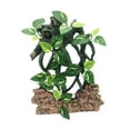 thumbnail image 1 of koolsoo Climb Tree Branch Decor Reptile Corner Branch Aquarium Simulation Habitat spotted with rock, 1 of 9