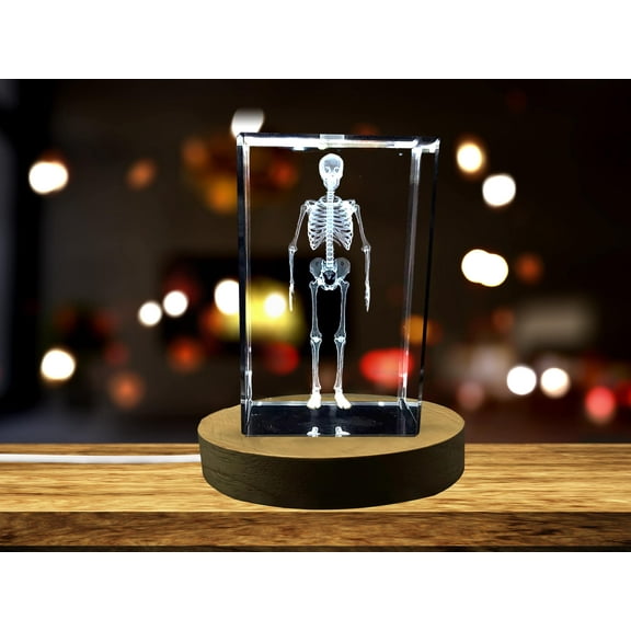 Human Skeleton 3D Engraved Crystal Novelty Decor