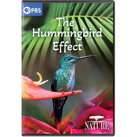 NATURE: The Hummingbird Effect
