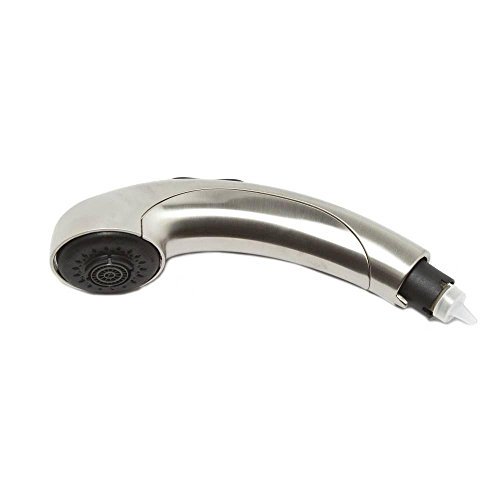 Moen 124738 Replacement PullOut Wand