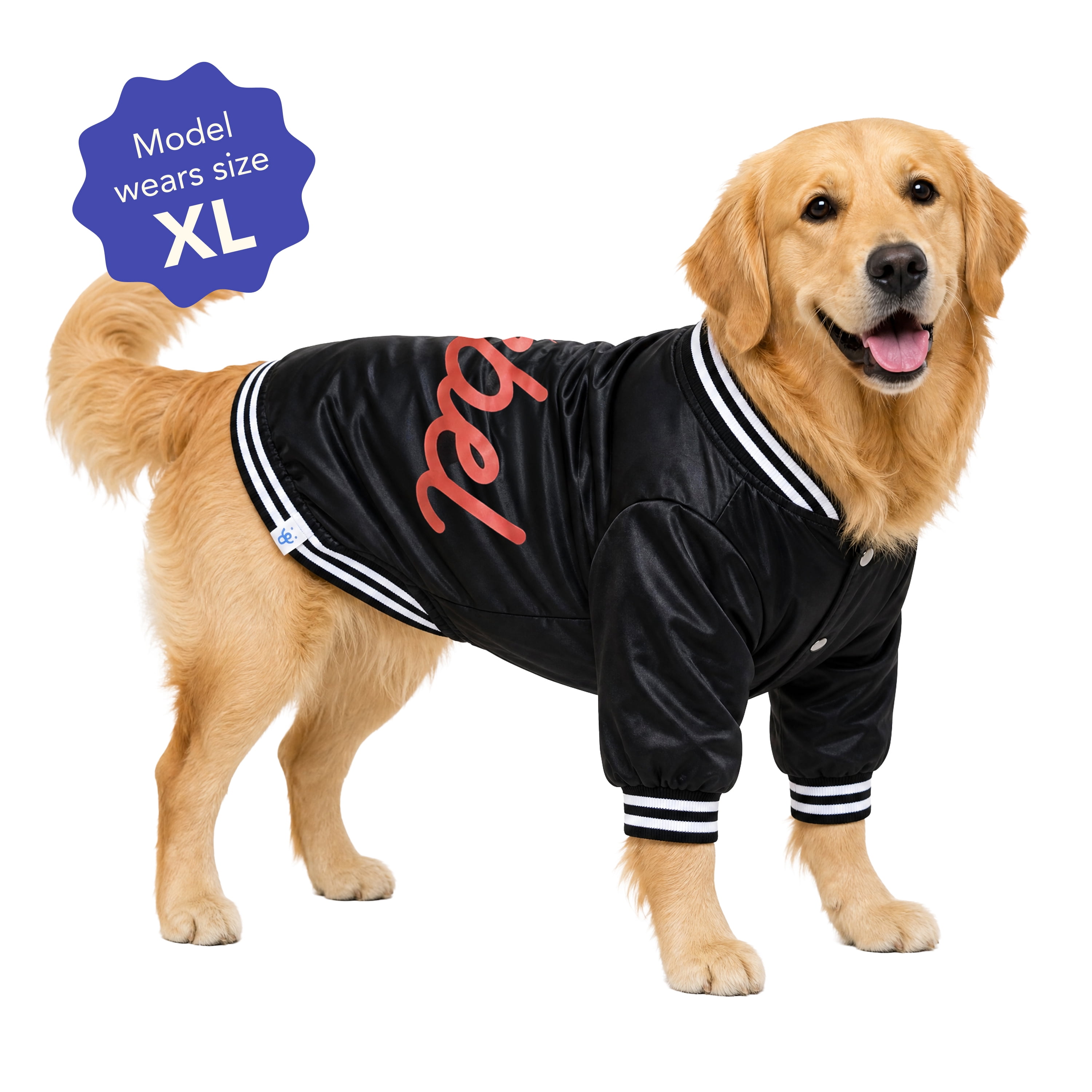 Oodles Rebel Fall Dog Jacket, Black, XL