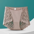 thumbnail image 2 of Ashirexll Plus Size Underwear for Women, Ladies Underwear Panties, French Lace Sheer Mesh Cropped Low Waist Body Shaping Underwear, 2 of 3