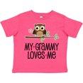 thumbnail image 3 of Inktastic Grammy Loves Me Grandchild Owl Girls Toddler T-Shirt, 3 of 5