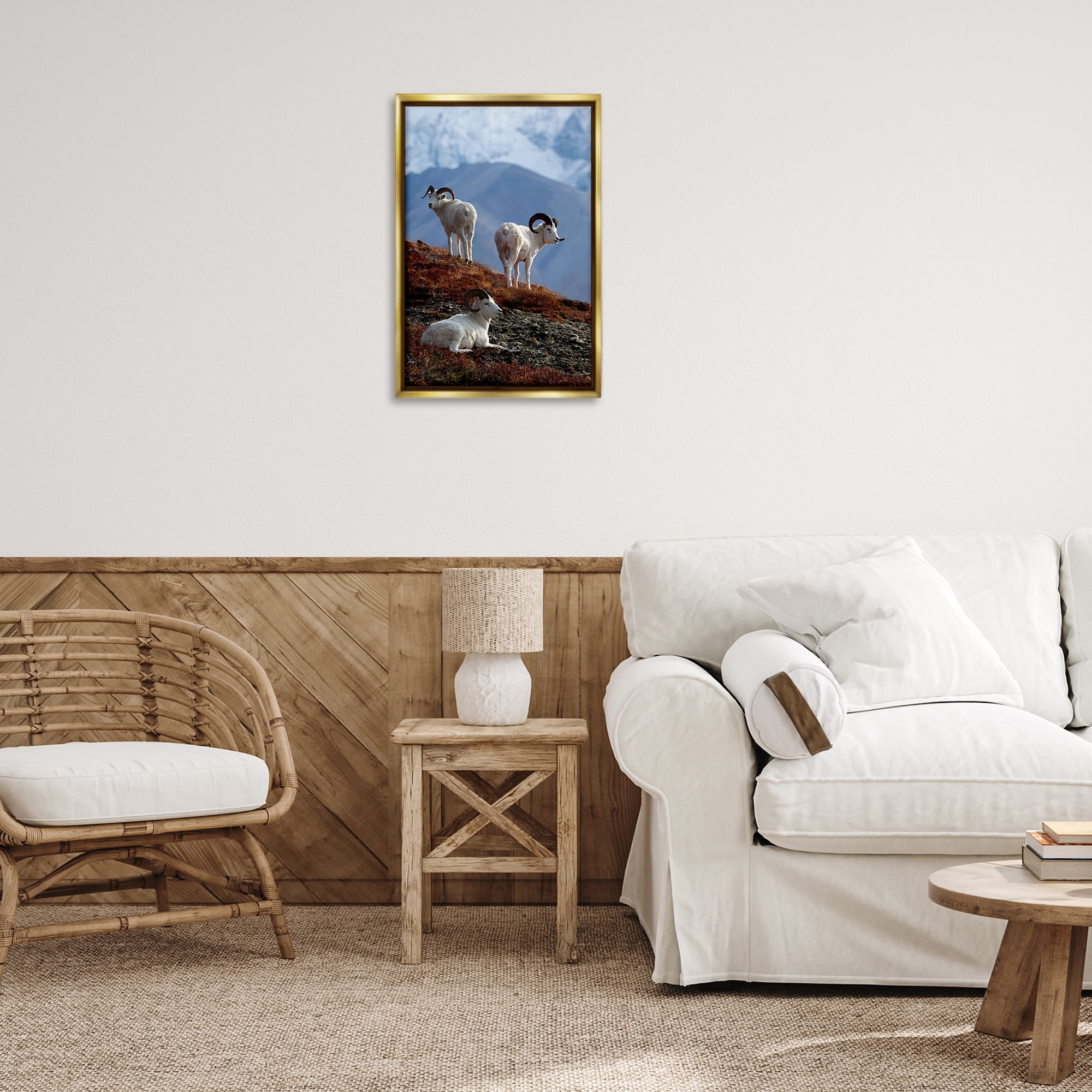 Stupell Industries Dall Sheep on Cliff Landscape & Nature Photography Gold Floater Framed Canvas Art Print Wall Art, 17 x 25