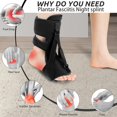 thumbnail image 5 of Plantar Fasciitis Night Splint 4-Piece Set - Includes Massage Ball, Drawstring Pouch, Arch Support, Adjustable Plantar Fasciitis Relief for Women and Men, 5 of 5