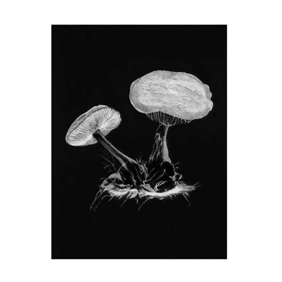 Trademark Fine Art Pictufy Vintage Violet Webcap Mushroom Dark BW Canvas Wall Art