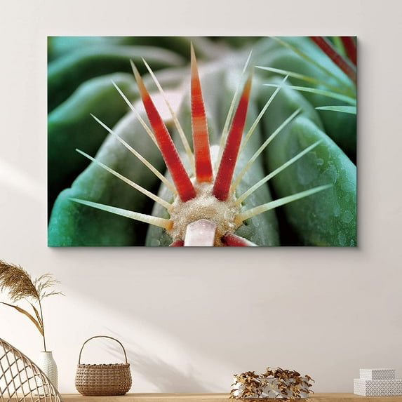 PixonSign Framed Wall Art Print Flowers Grow on Cactus Nature Wilderness Photography Realism Southwest Closeup Colorful Multicolor Neon for Living Room, Bedroom, Office - 16"x24"