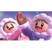 Super Smash Bros Game and Caddy