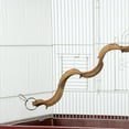 thumbnail image 3 of Prevue Pet Products Wacky Wood 24 inch Vertical Bird Perch 62396, 3 of 7