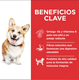 thumbnail image 3 of Hill's Canino Adult Small 2 Kg 4 Unid X Caja Original Sellado, 3 of 6