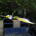 thumbnail image 4 of Cometa luminosa colgante con halcón volador para asustar pájaros, con música para jardín, portátil, nueva, 2023, mejor oferta, descuento del 36%, 4 of 5
