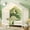 White, variant on HICOMILA Twin House Bed Frame with Canopy and Guardrails