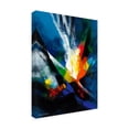 thumbnail image 4 of Canvas Wall Art - Thomas Leung 'Joyful III' Wall Art for Living Room, Bedroom, or Office Décor by Trademark Fine Art - 24 x 32 Inches, 4 of 4