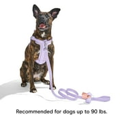 Wild One 6ft Heavy Duty Lightweight Nylon Dog Leash, Lilac