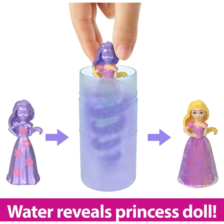 Disney Princess Royal Color Reveal Surprise Small Doll with Garden Party  Accessories (Dolls May Vary)