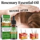 thumbnail image 4 of Rosemary Hair Essential Oil. 30ml., 1 Fl Oz (Pack of 1), White, 4 of 5
