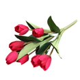 thumbnail image 5 of Artificial Tulip Flowers,Multicolor Real Touch Feeling Tulips,Fake Tulip Bouquet for Wedding Studio Party Office Decor,Red, 5 of 8