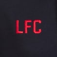 thumbnail image 3 of Liverpool FC Boys Crest Polo Shirt, 3 of 5