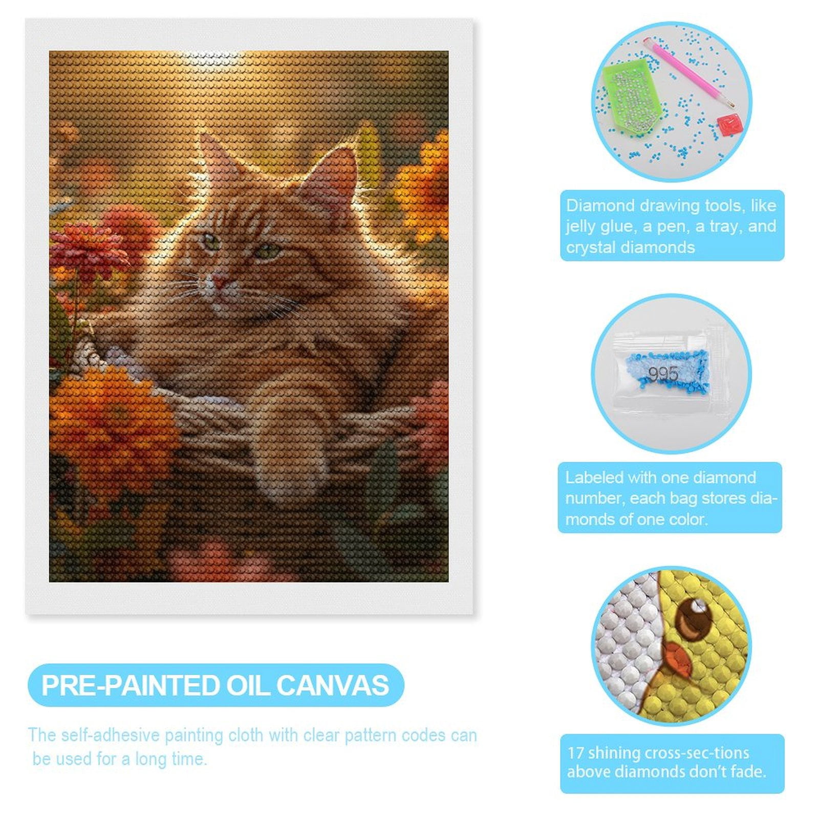 Diamond Art Kits for Adults - Orange Cat In Basket Flowers 5d Diamond Painting for Adults, Diamond Art for Adults Beginners, Frameless Diamond Painting Kits for Adults for Home Wall Decor