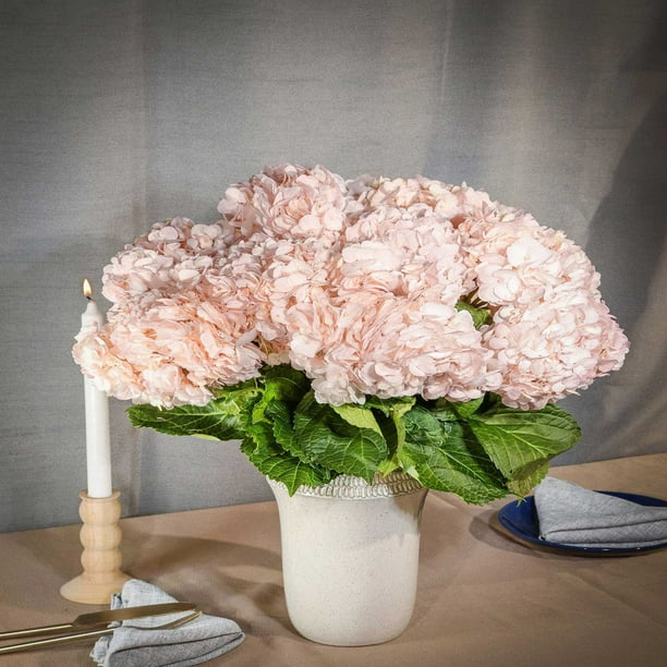 ☆hydrangea☆さま 専用です ☆hydrangea☆さま 専用です 5thアニバーサリー フレグランス