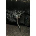 thumbnail image 2 of Figura de acción NECA Alien Giger 40º aniversario 22cm, 2 of 4
