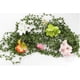 thumbnail image 3 of Rollos de cinta de hojas de vid artificial Vhermosa guirnalda de hojas verdes decoración de pared DIY, 3 of 7