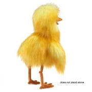 Funny Bird Puppet, (Hardcover)