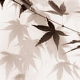 thumbnail image 3 of Blaustein, Alan 15x15 Black Modern Framed Museum Art Print Titled - Japanese Maple Leaves No. 2, 3 of 5