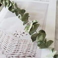 Dried Real Eucalyptus Branches 12 Stems, Natural Eucalyptus Leaves for