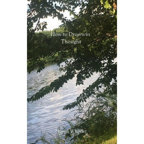How to Drown in Thought (Paperback)