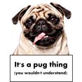 thumbnail image 3 of CafePress - Pugthing Pajamas - Men's Light Loose Fit Cotton Pajama Set, 3 of 7