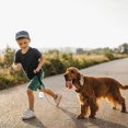 thumbnail image 6 of Environmentally Simple Practical Portable Cleaning Supplies Perspective Dog Poop Bag Dispenser Pet Garbage Bag Dispenser Pet Poop Bag Holder Dog Accessories INCLUDING TRASH BAGS, 6 of 8