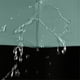thumbnail image 5 of XWSHYW Herramientas para El Hogar Paraguay Viaje, Resistente Al Viento, con 12 Varillas, Anti-Uv, Automático, Inverso, 5 of 7