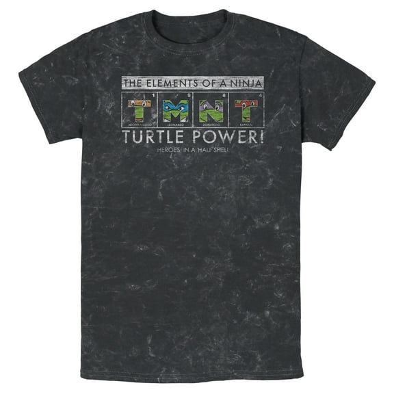 Men's Teenage Mutant Ninja Turtles Distressed The Elements of a Ninja Graphic Tee Black Large
