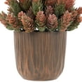 thumbnail image 4 of Northlight Two-Tone Wild Flower Artificial Plant in a Textured Lined Pot - 8", 4 of 5