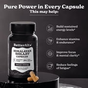 BetterAlt Himalayan Shilajit Capsules – Natural Energy Pills for Stamina & Vitality – 60ct