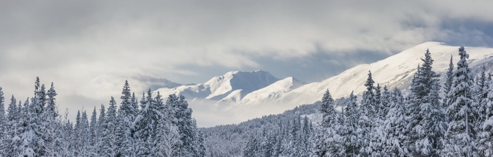 Clouds Clearing From The Kenai Mountains Above Turnagain Pass After A Winter Snow Storm Fresh Snow In The Trees Early Morning Sun Turnagain Pass Chugach National Forest Southcentral Alaska Usa Canvas