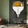 thumbnail image 4 of Bulbrite 862852 2700K 500 Lumen 6 watt LED Filament Dimmable G40 Light Bulbs with a Half Gold & Medium E26 Base, Warm White - Pack of 4, 4 of 5