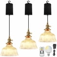 thumbnail image 1 of FSLIVING Adjustable Height Pendant Light With Remote Control Rechargeable Battery Operated, 1 of 7