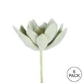 thumbnail image 3 of Vickerman 4" Artificial Frosted Echeveria Pick, 6 per Bag, 3 of 3