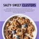 thumbnail image 3 of purely elizabeth Ancient Grain Granola Certified Glutenfree Vegan NonGMO Coconut Sugar Delicious Healthy Snack , Blueberry Hemp, 12 Ounce, 3 of 5