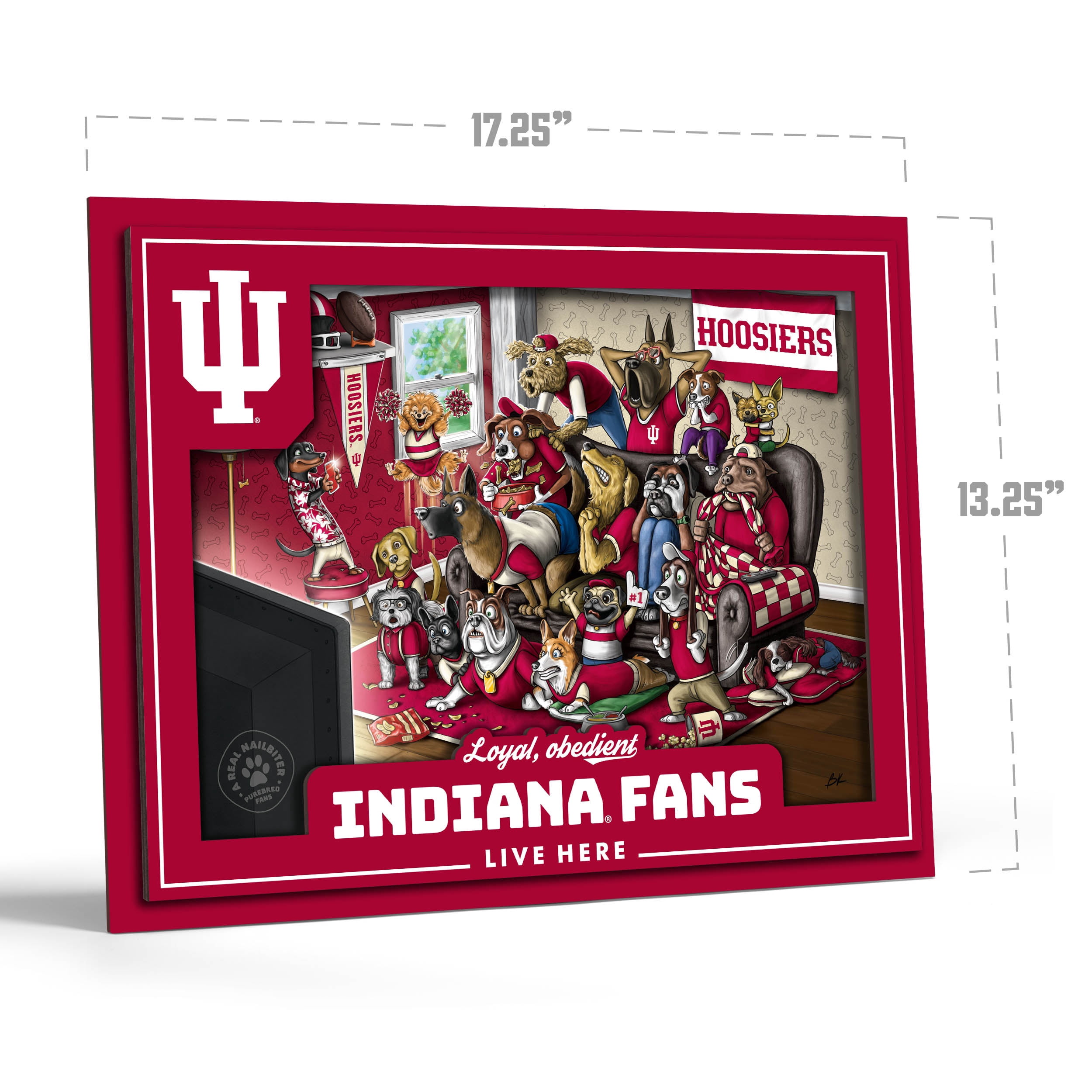 YouTheFan NCAA Indiana Hoosiers Purebred Fans Wall Art