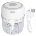 thumbnail image 1 of Mini Electric Garlic Chopper Large Capacity Powerful Motor 304 Stainless Steel Food Processor 250ml White, 1 of 5