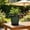 Green, variant on Thick UV Resistant Plastic Plant Pot with Drainage Tray, Embossed Wicker Pattern Outdoor Indoor Gardening Planter Container